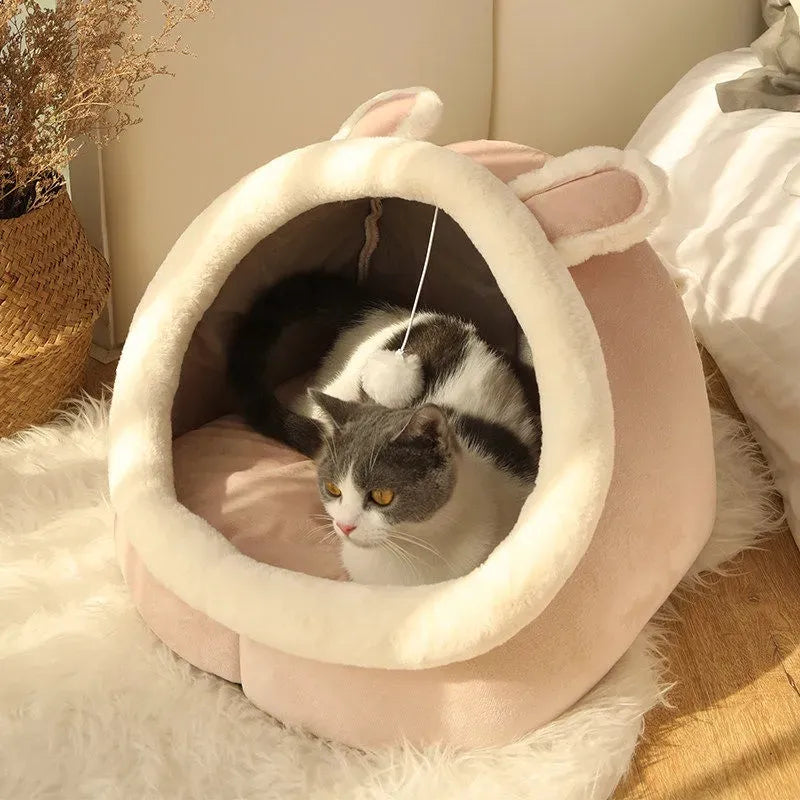 Purrfectly Comfy Cat Haven lounge