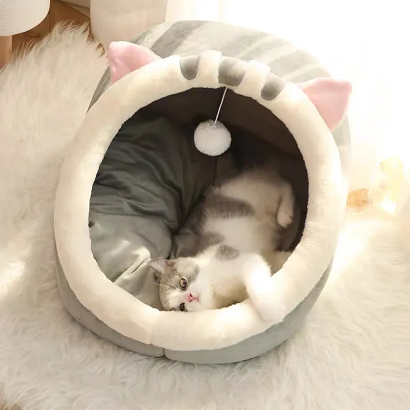 Purrfectly Comfy Cat Haven lounge