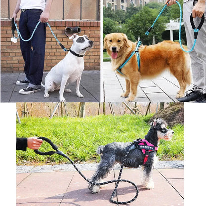 Versa Lead for Your Dog