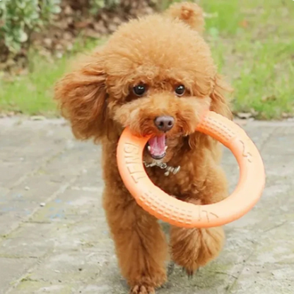 Chew-n-Chase Flying Ring Toy