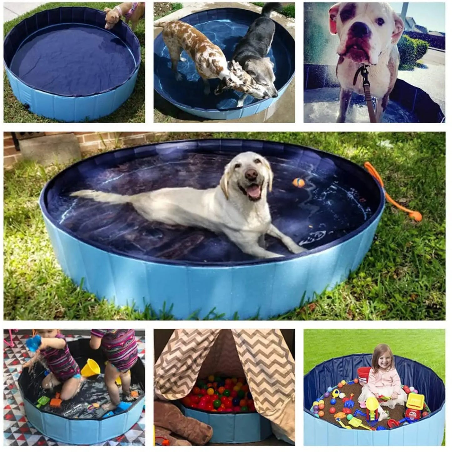 PawPal Splash Pool