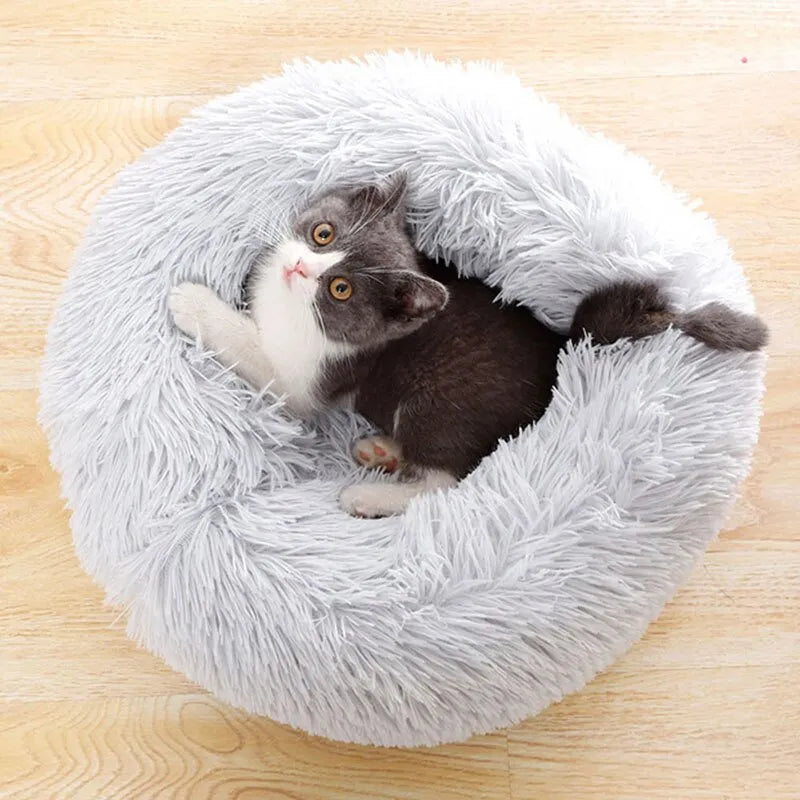 Plush Paws Paradise bed