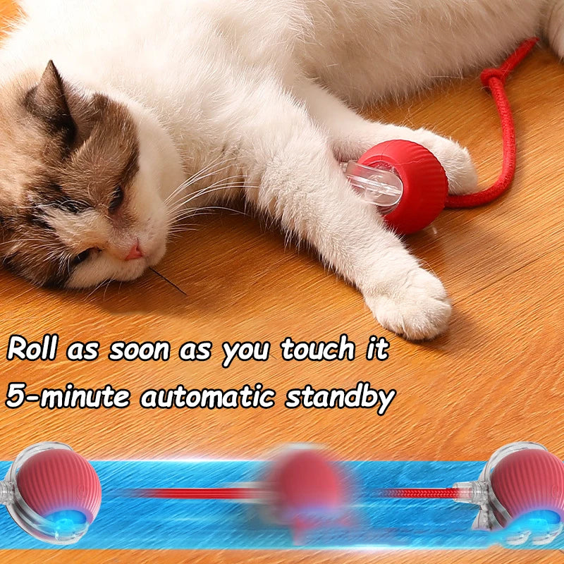 Smart Cat Toy Ball