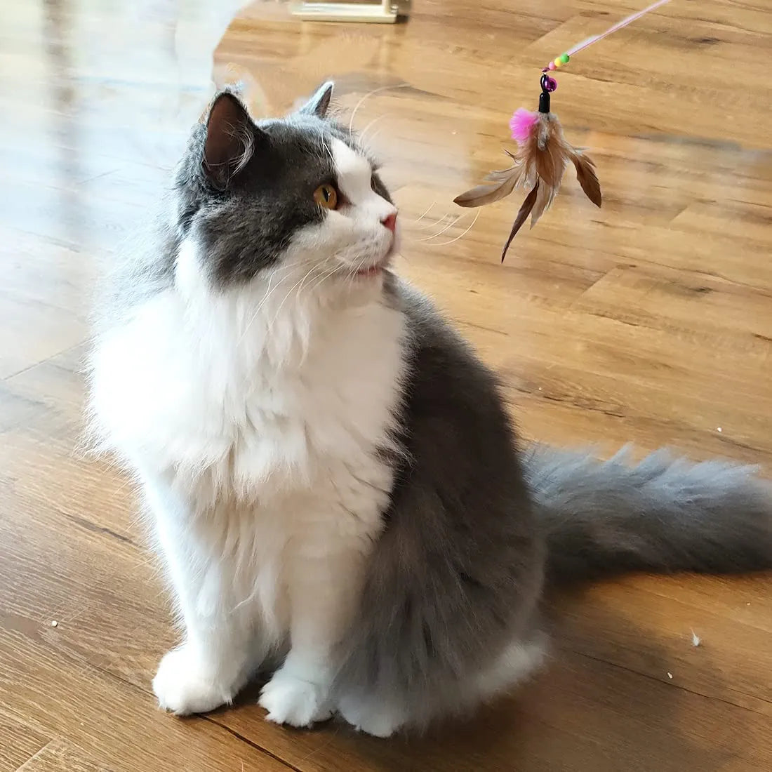 Interactive Cat Feather Toy