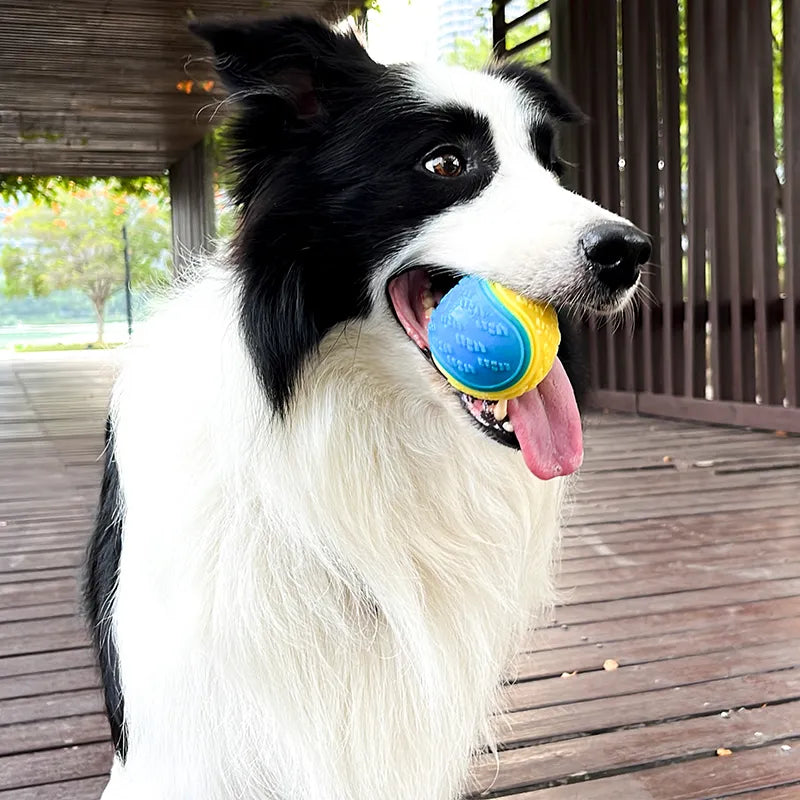 Bite Squeak Interactive Dog Toy Ball