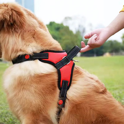 Stride Right Reflective Dog Harness