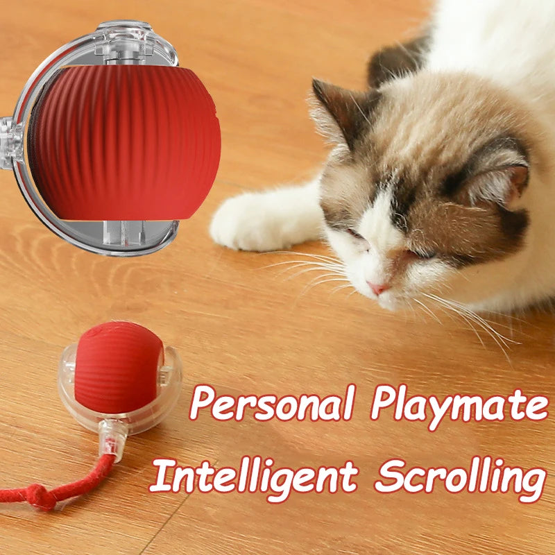 Smart Cat Toy Ball