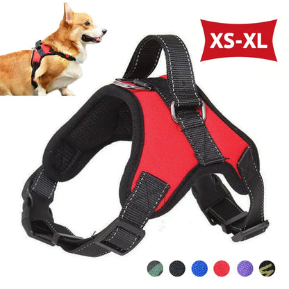 Stride Right Reflective Dog Harness