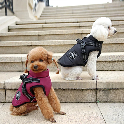 CozyPaws Waterproof Dog Jacket