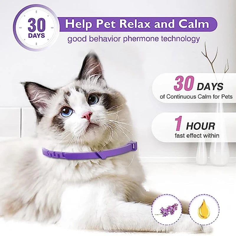 Calming Collar for Dogs, 3 Pack Collars for Cats & Dogs, Reduce Pet Anxiety,  Safe and Waterproof Calm Collar (Copy) - Just Paws & Play