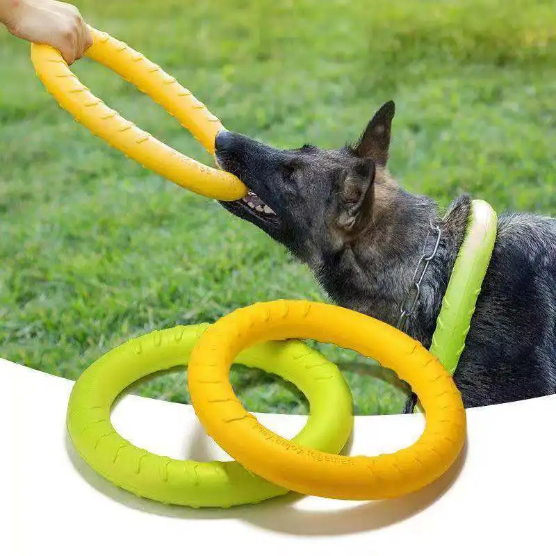 Chew-n-Chase Flying Ring Toy