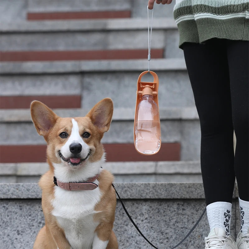 Portable PupHydrate Foldable Water Bottle for pets