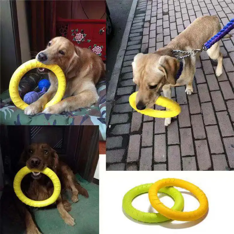 Chew-n-Chase Flying Ring Toy