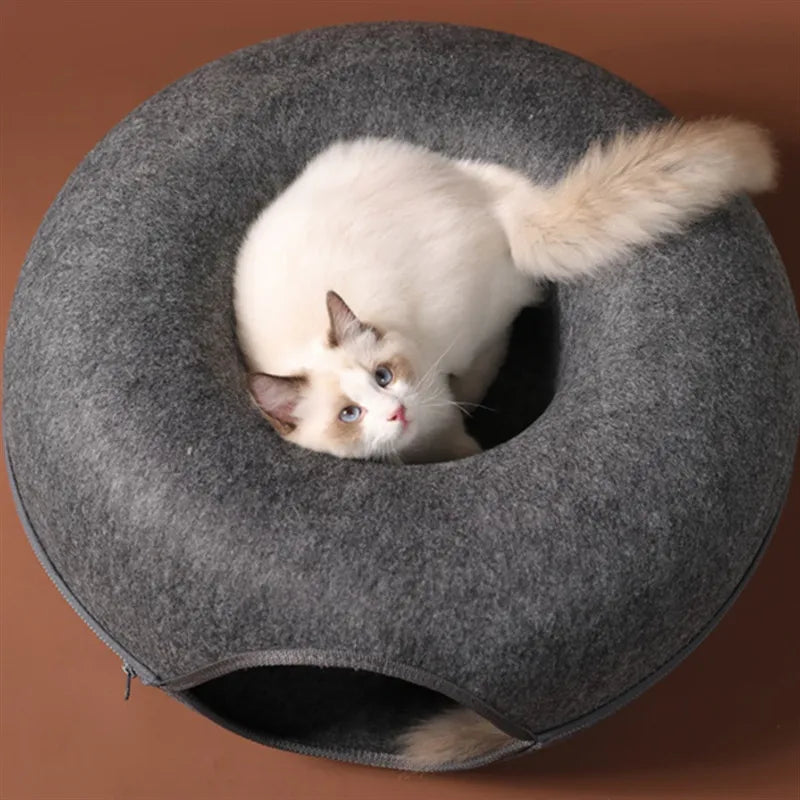 Paws & Play Haven Bed - Interactive Game Toy Cat Bed