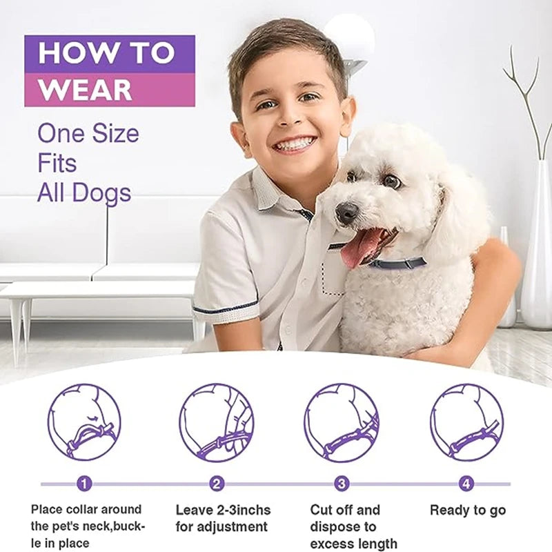 Calming Collar for Dogs, 3 Pack Collars for Cats & Dogs, Reduce Pet Anxiety,  Safe and Waterproof Calm Collar (Copy) - Just Paws & Play