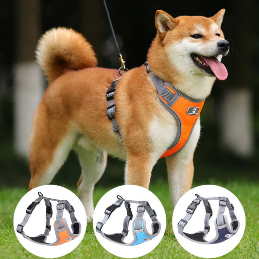 Reflect Vest All-Weather Dog Harness