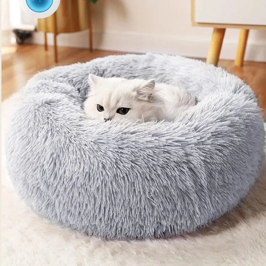 Plush Paws Paradise bed