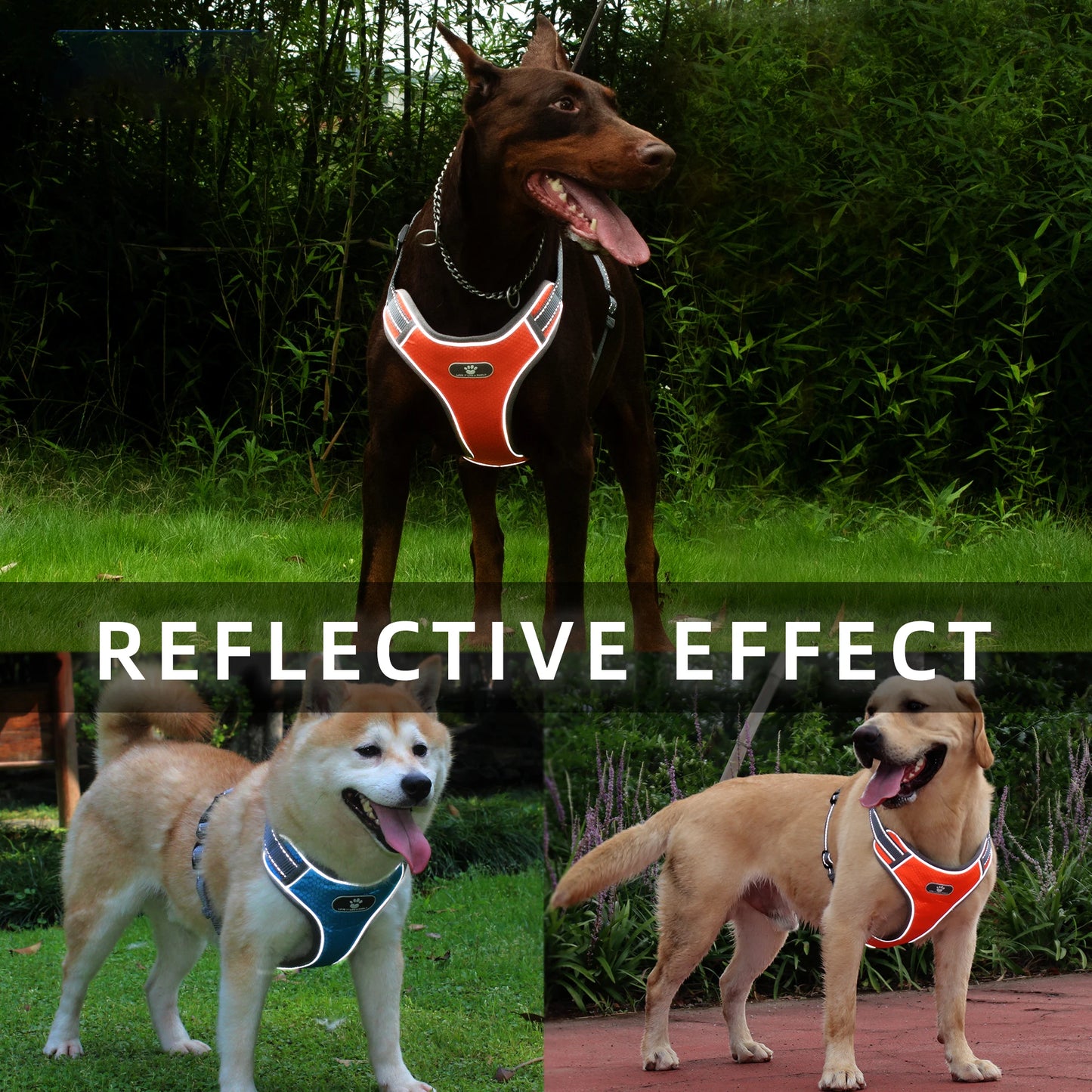 Reflect Vest All-Weather Dog Harness